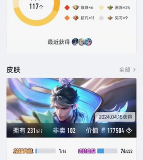 自玩贵八号，王者荣耀租号共号，10r一天，...