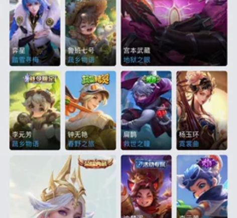 王者ios  q区     233个皮肤 ...