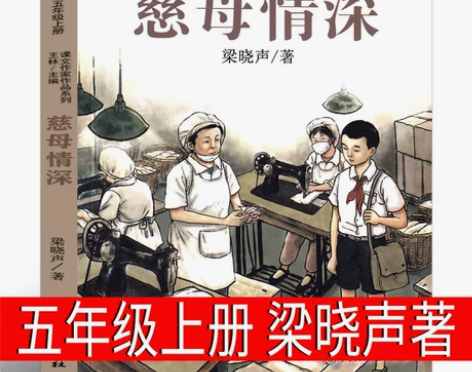 慈母情深 梁晓声的书籍正版母亲的书全套小学...