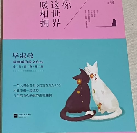 愿你与这世界温暖相拥 毕淑敏 愿你与这世界...