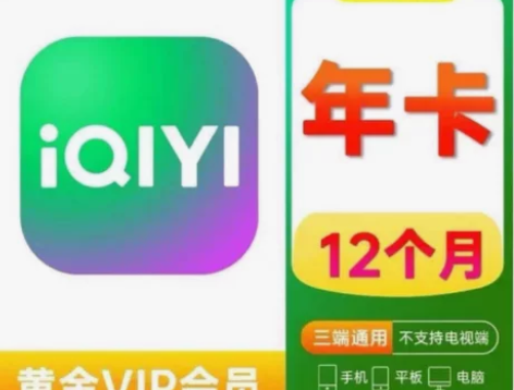爱奇艺会员12个月爱奇艺手机端会员12个爱...