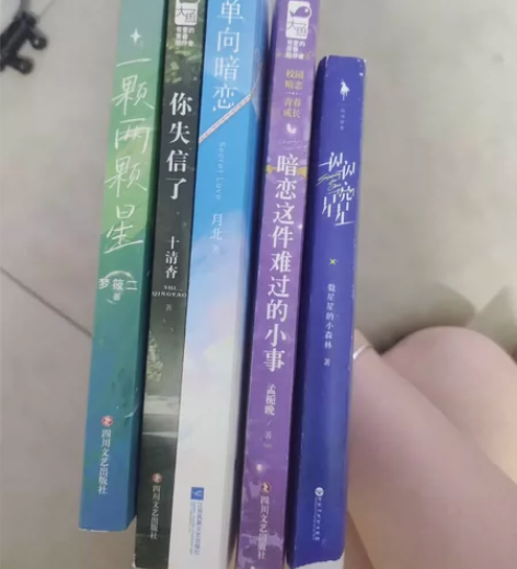 出售5本青春校园小说，有一闪一闪亮星星，你...