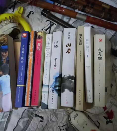 闲置书籍出售 二手文学作品 小说 贾平凹作...