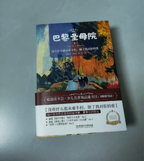 低价转让,一套 2 本 巴黎圣母院(上、下...