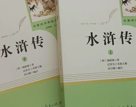 水浒传上下册全新[托腮] 人民教育出版社 ...