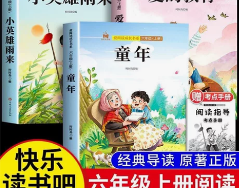 【全新包邮】童年 爱的教育 小英雄雨来,六...