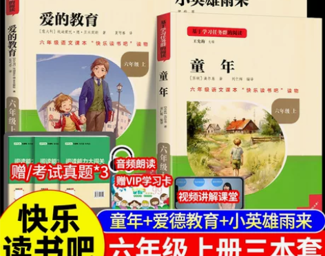 童年快乐读书吧六年级上册爱的教育小英雄雨来...