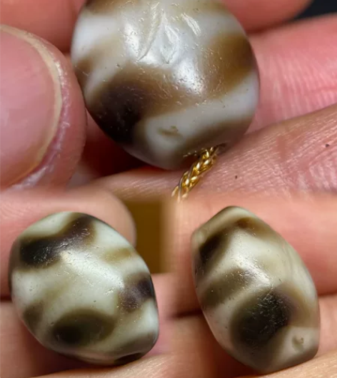 千年至纯双虎牙达洛天珠 顶级高货！神韵无敌...