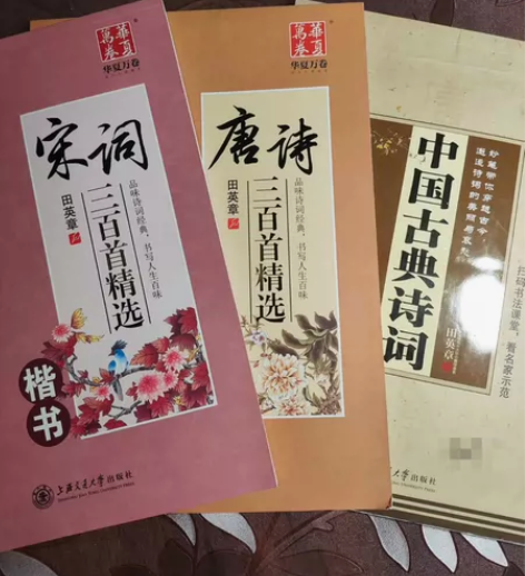 宋词三百首精选(楷书)全新 唐诗三百首精选...