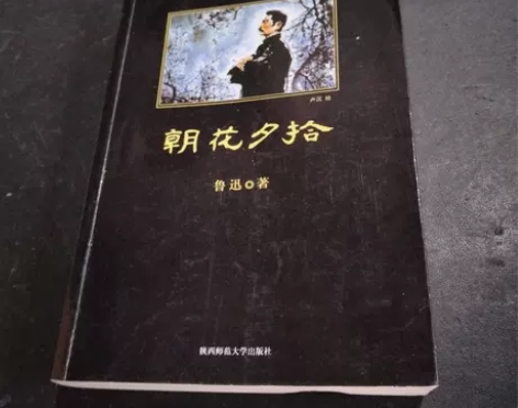 正版二手《朝花夕拾》鲁迅 陕西师范大学出版...