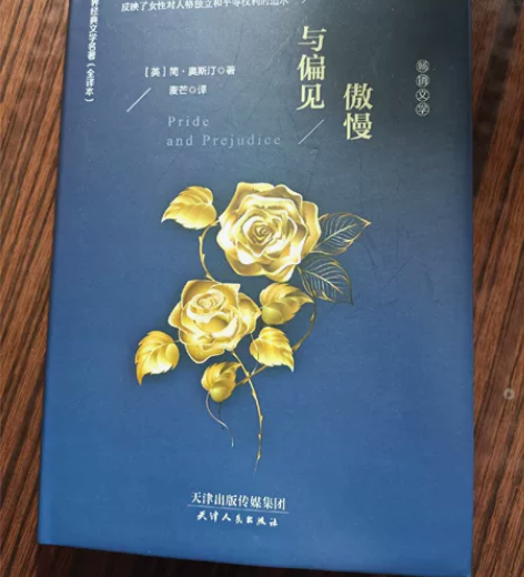 《傲慢与偏见》简奥斯汀 麦芒/译 九成新，...