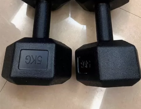 出国了带不上，5kg一对哑铃老公之前买的哑...