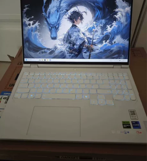 自用原装正品联想拯救者Y9000P 202...