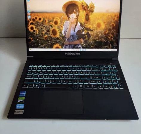 ?神舟战神Z8D6 15.6寸 2.5K ...