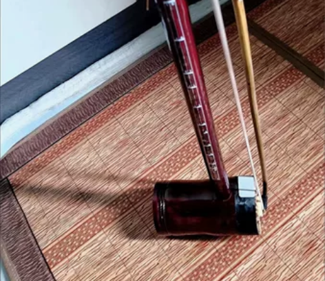 二胡乐器成人初学者入门零基础学生成人音乐色...