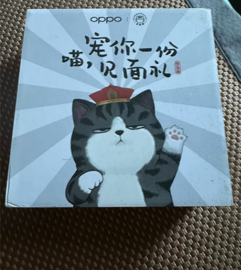 oppo enco air 2pro 吾皇...