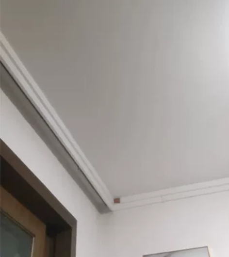 巴哈小号型LT197S-99镀银降b调小号...