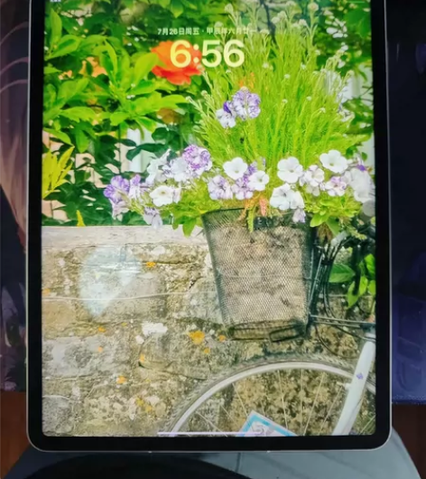 #2021pro 便宜出iPad Pro2...