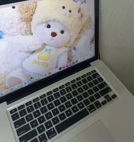 走过路过来看看哇    闲置，苹果笔记本没...