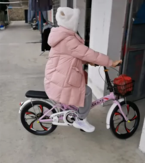 转卖，闲置折叠自行车，如图。莱斯凯特品牌，...