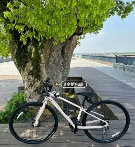 【本人急出】捷安特Liv公路车（aligh...