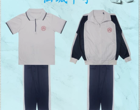 飞腾校服 仙城中学 指定面料 初高中冬夏季...