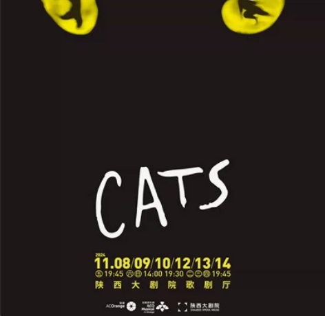 西安音乐剧 猫 陕西大剧院 220票面标价...