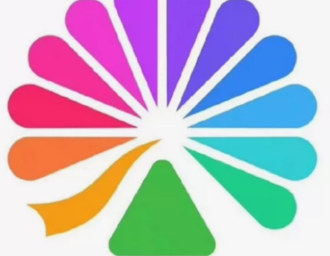 接代拍,大麦各种演唱会、音乐节、体育赛事等...