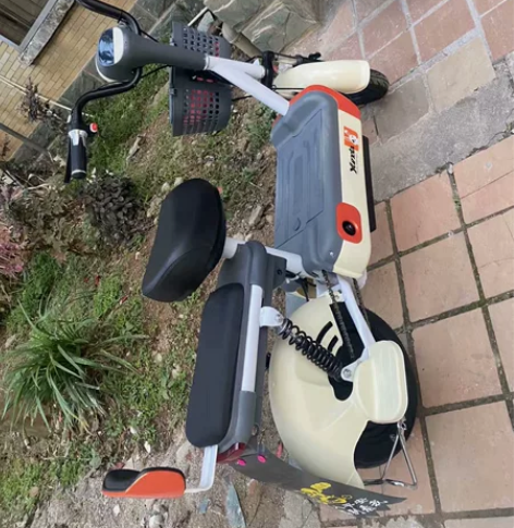 低价处理，飞鸽电动车，全新，48v12a，...