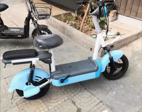 飞鸽电动车,全新,48v12a,带电池+充...