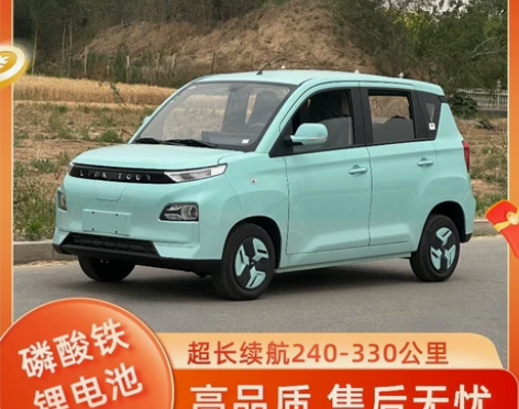 丽驰金锂pro电动车新款代步车电动汽车新能...