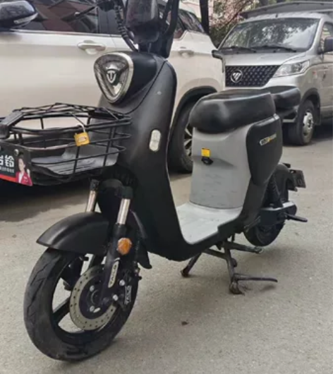台铃电动车，嘎嘎板正，嘎嘎新国标绿牌，锂电...