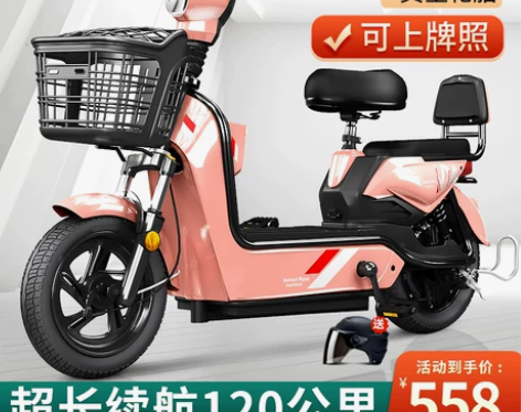 新国标电动车双人小型电瓶车两轮代步电动自行车