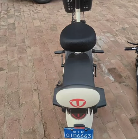 买下三个月左右的台铃大电池电动车，买下就充...