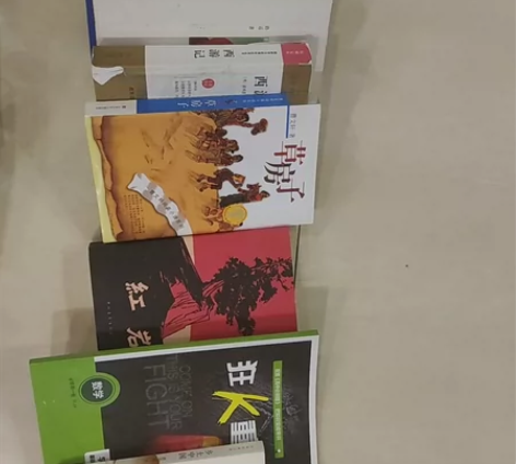 红楼梦 钢铁是怎么炼成的 平凡的世界 西游...