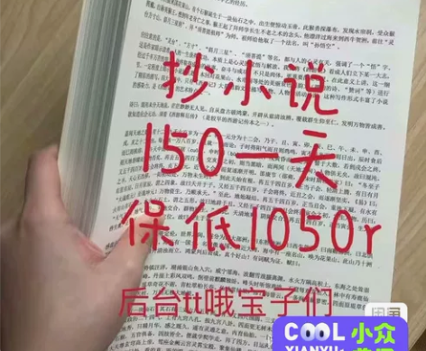 2024炒小说项目，不需要有任何技术含量，...
