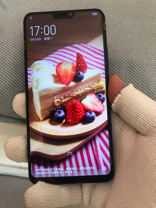vivoz1