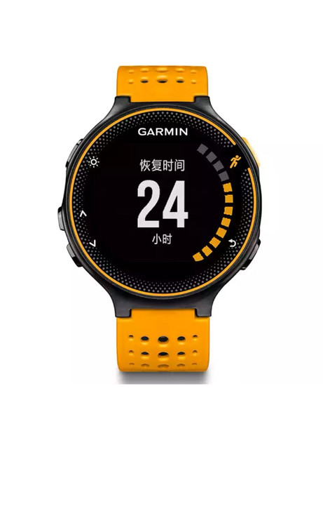 佳明（GARMIN）智能手表 FR 235...