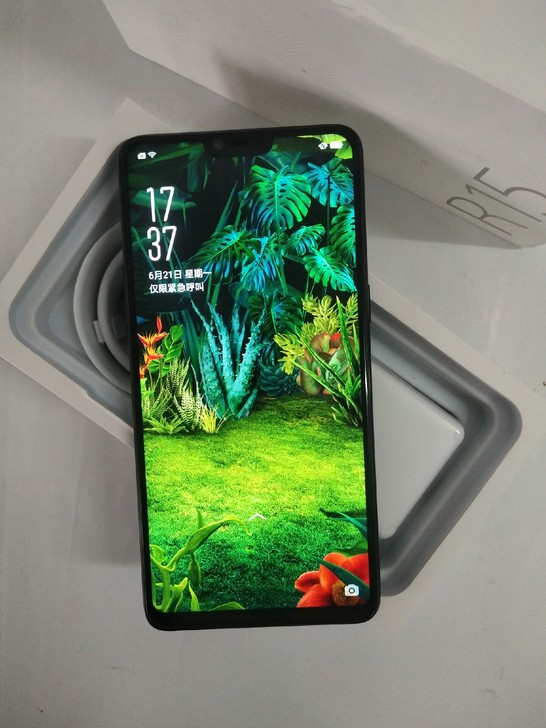 OPPOr15 本人女孩自用的手机 正品手...