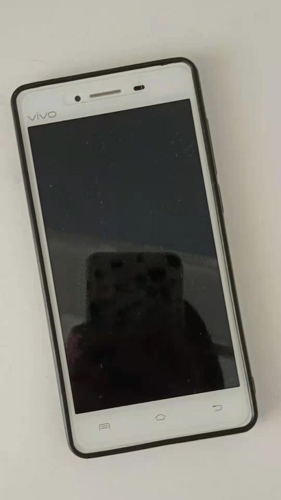 Vivoy51