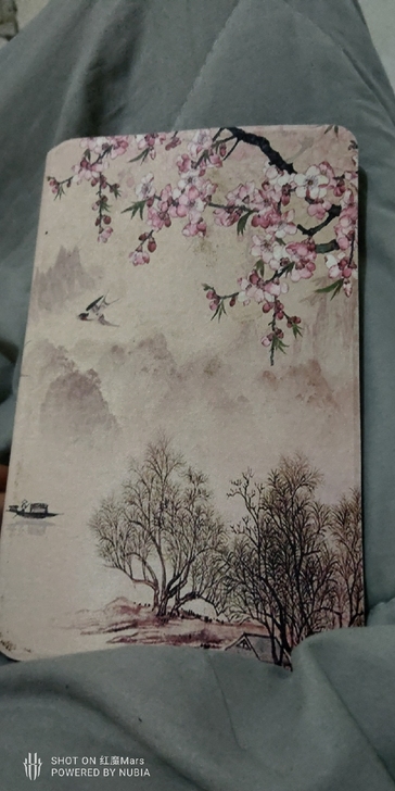 一个华为平板9.6英寸,能看看电视