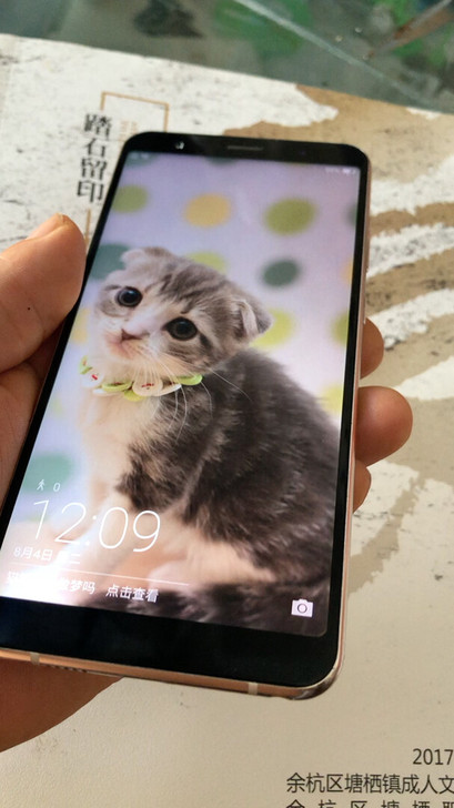 海信R3手机，型号HLTE500T。