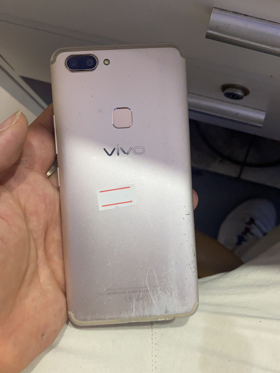 vivo x20