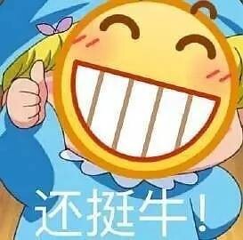 锤子坚果pro2 老罗情怀产品，骁龙660...