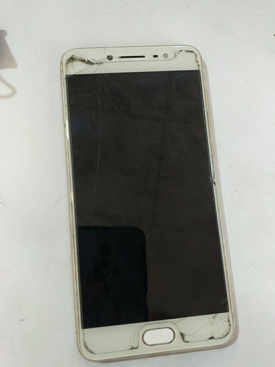 vivo X7