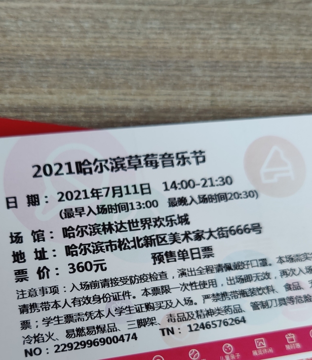 哈尔滨草莓音乐节7.11