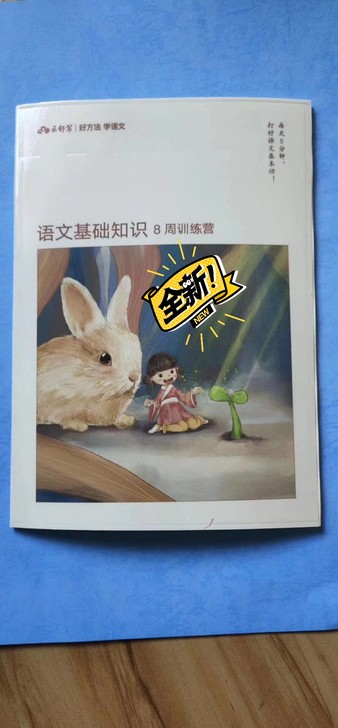 云舒写语文基础知识八周训练营