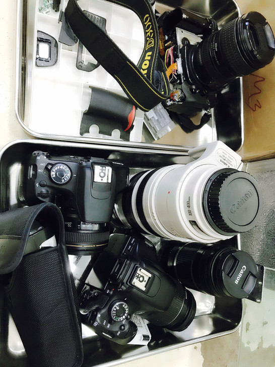 维修各种单反相机问题100元起