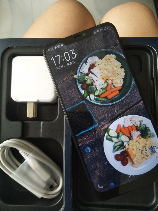 vivox21九九成新，手机自用。