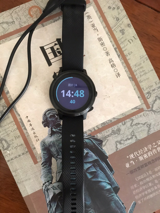 闲置国行正品Garmin佳明Vivoact...